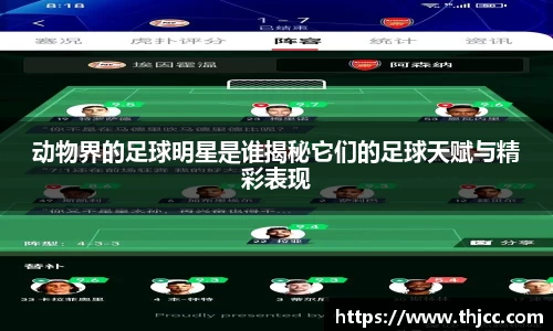 3777金沙娱场城在官网